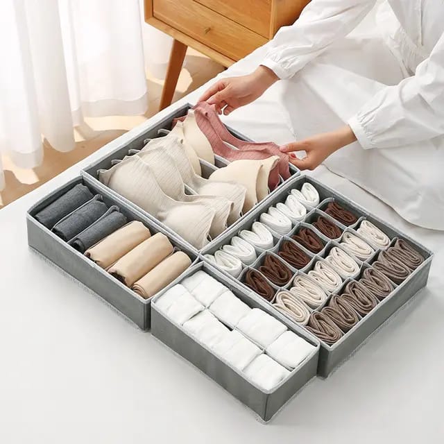 4in1 under garments organizer