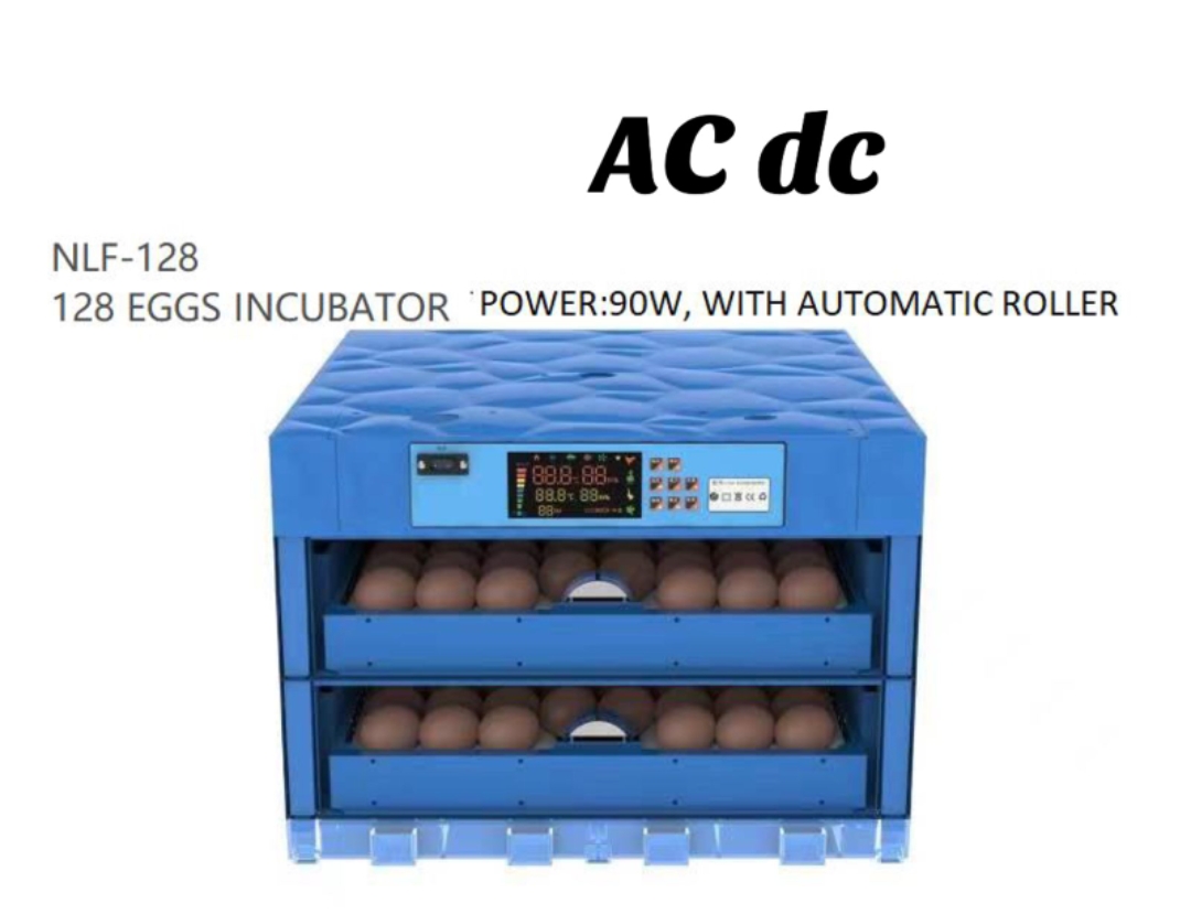 Eggs Incubator
