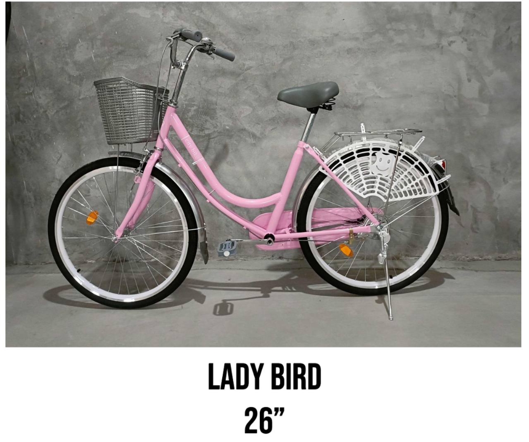 Lady bird bike 26"